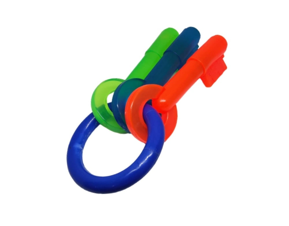 Key Teether Toy - Rubber Dog Chew Toy
